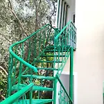 Joen סרנדה