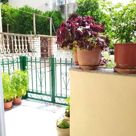 Joen Sarande