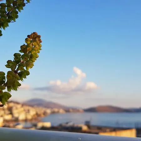 Joen Sarandë